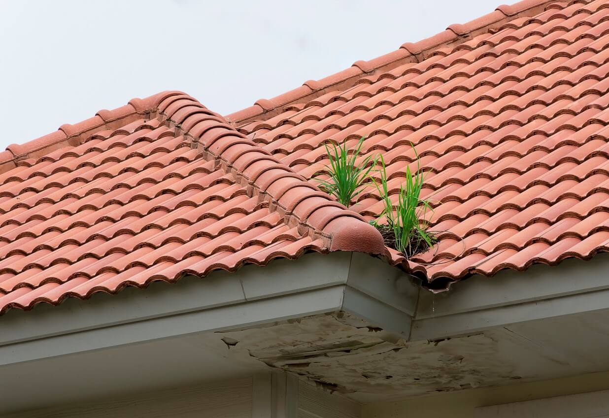 Roof Damage