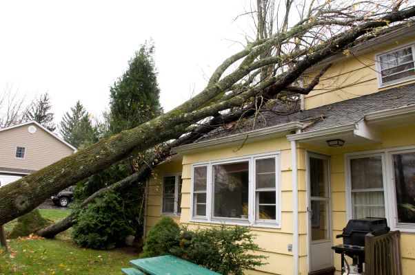 East Bay Gutter Repair